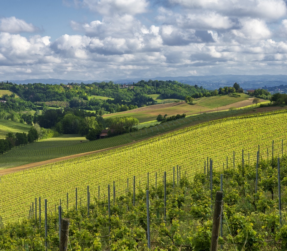 Asti - Le langhe